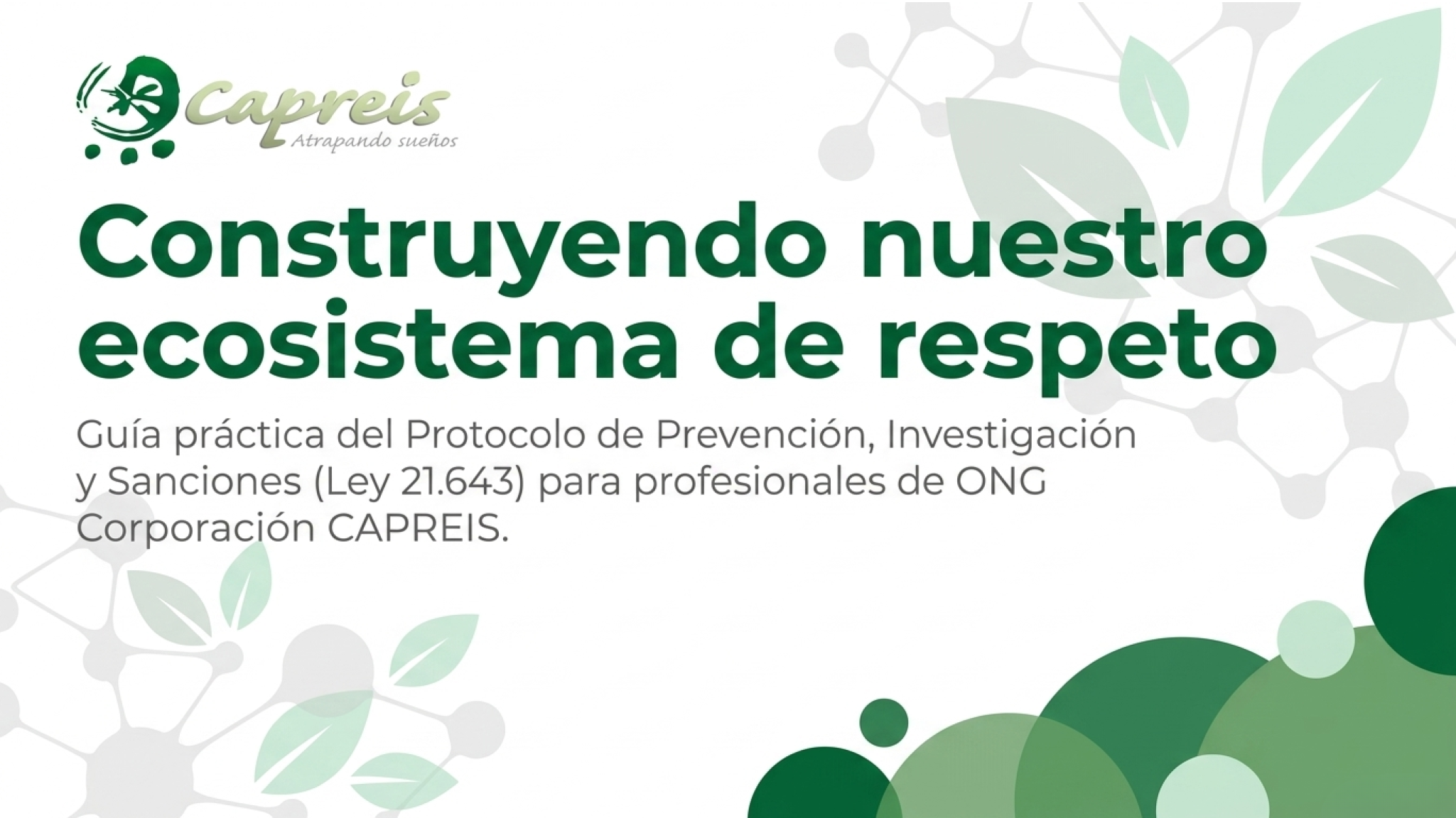 ACTUALIZACIÓN LEY KARIN: Reflexiones y Precisiones Sobre l as Relaciones Laborales en ONG Corporación CAPREIS en el contexto de la Ley Karin